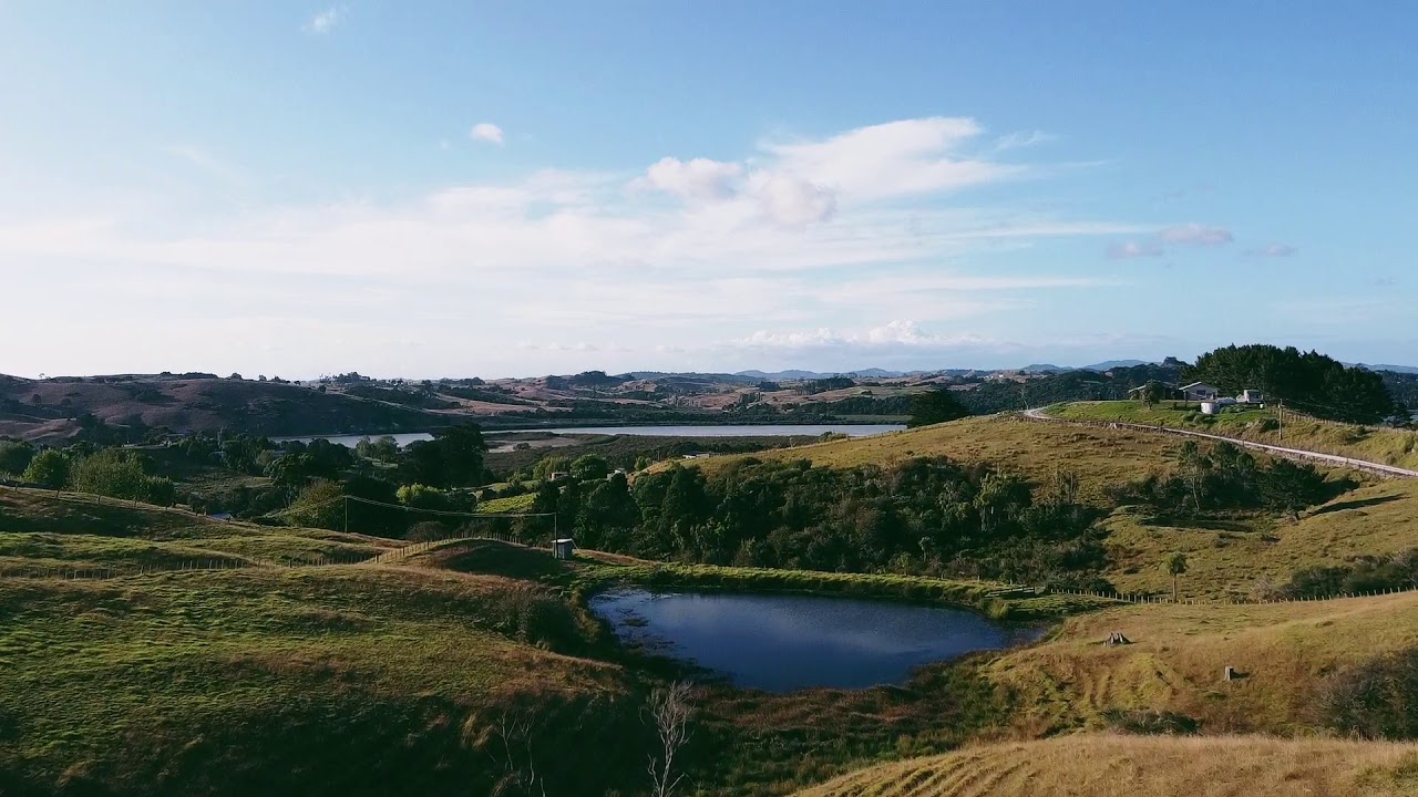 Port Albert, Auckland. New Zealand YouTube