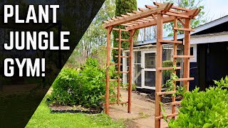 Simple DIY Wooden Garden Arbor | Redwood Trellis