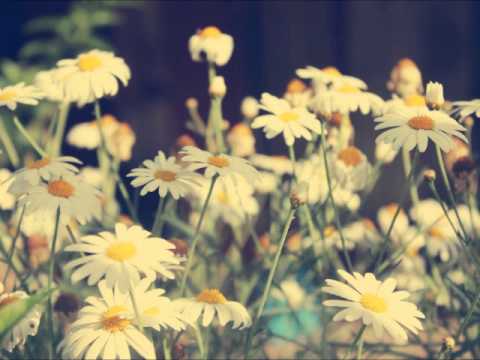 دعاء بصوت فارس عباد