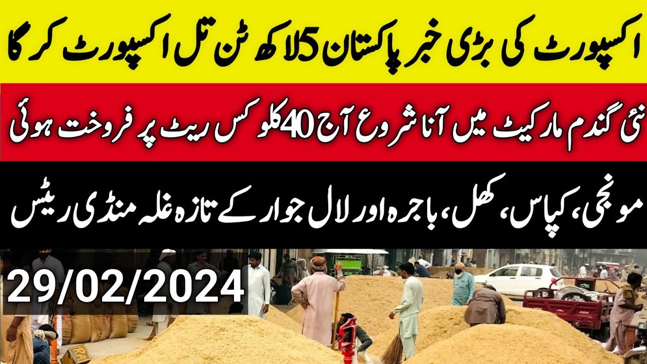 wheat price in pakistan 2024/Munji,Till,Sarso,Makki Rates update - YouTube