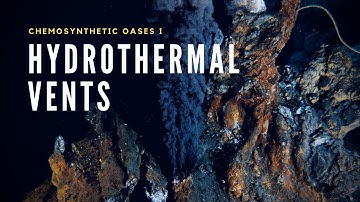 Hydrothermal Vents | Oases in the Deep Sea