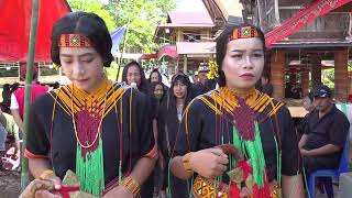 Nikolas di Sangalla Part 4