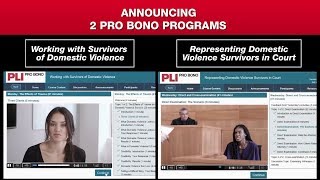 Two Domestic Violence Pro Bono Programs | PLI's Interactive Learning Center