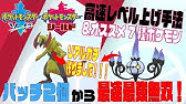 ポケモン剣盾 いきなり最強 序盤で一気にレベルアップできる裏技のやり方紹介 Youtube
