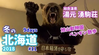 [ 冬の北海道ドライブ旅 ]　#11 旭山動物園のペンギン散歩 ＆ 料理が美味しい宿 日本秘湯を守る会『 湧駒荘 』 ~Winter of Hokkaido~