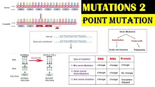 Mutations - 2 | Point Mutations | Substitution Mutations | Frame Shift Mutation |Dr Ghanshyam Jangid