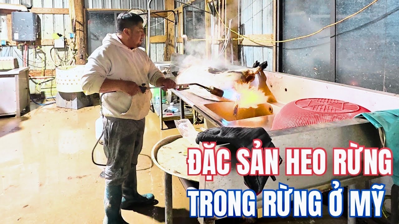 Lần Đầu Ăn Đặc Sản Heo Rừng Ở Trại Gà Đi Bộ Trong Rừng Ở Mỹ 