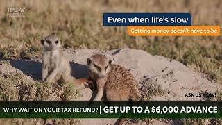 Fast Cash Advance  Meerkat