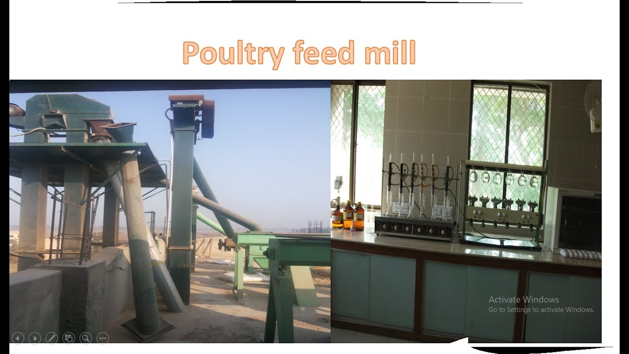 Poultry FEED MILL YouTube