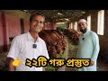 “২৫ বছরের অভিজ্ঞ খামারি আমিনুল ইসলাম | ২২টি দেশি গরু কুরবানীতে প্রস্তুত”