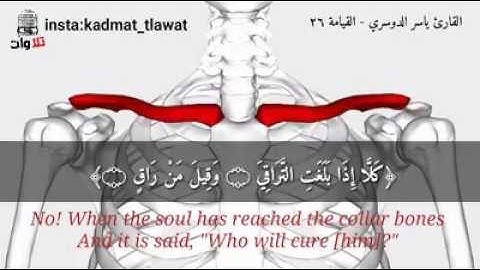 القارئ ياسر الدوسري  سورة القيامة آية 26