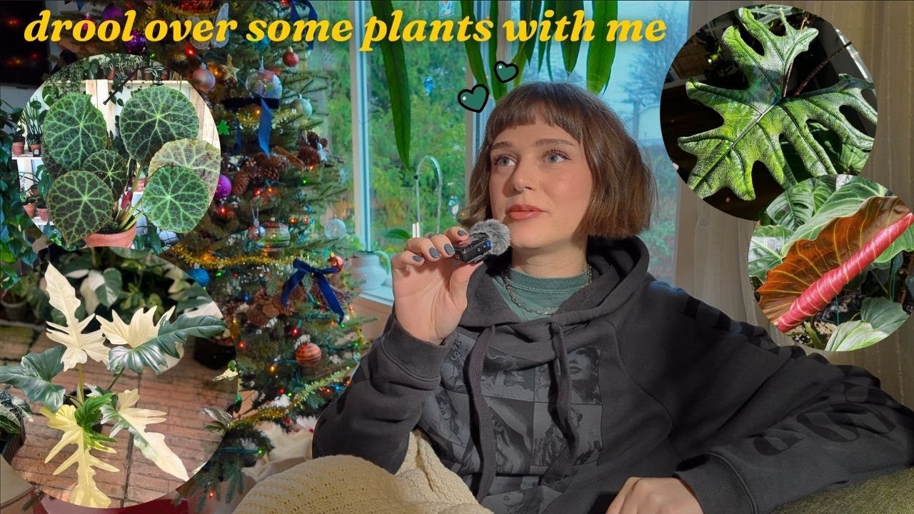 i have no business having a wishlist this long 🪴 (plants i LOVE but don't own!)