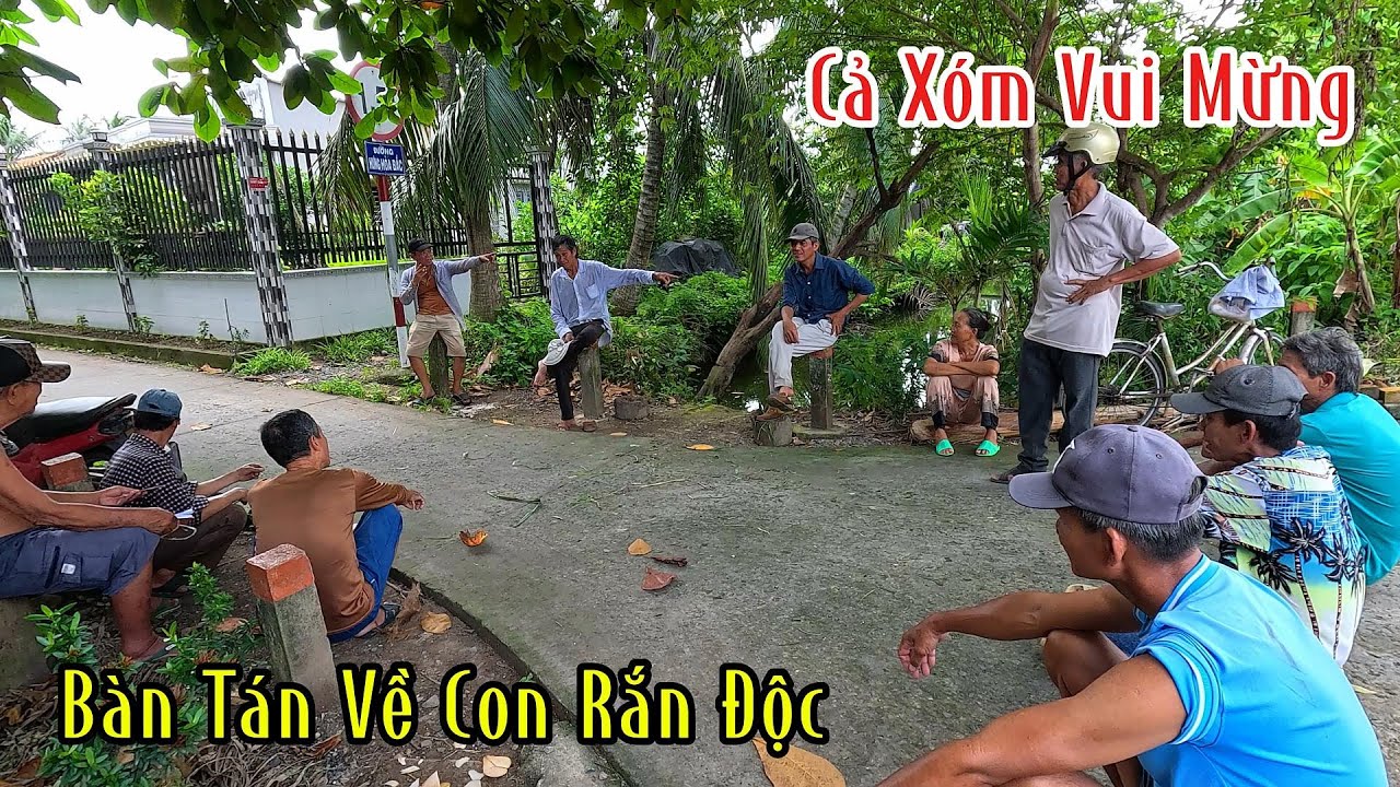 Cả 1 Xóm Vây Quanh Lại Bàn Tán Về Chuyện Của Con Rắn Hổ Mang | Mười Thương SB