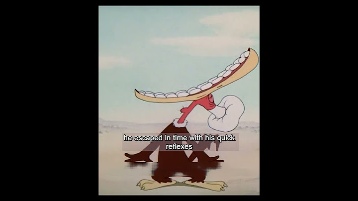 I have never seen such a stupid vulture  He opened his mouth wide to trick his companion into lookin