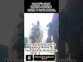Trailer Loading After a Long Break – Watch Her Yawn and Choose Trust 🐴💛
