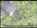 Operation Ghost Stories: Video 4