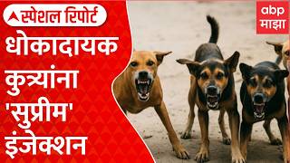 Supreme Court on Stray dog : धोकादायक कुत्र्यांना 'सुप्रीम' इंजेक्शन Special Report