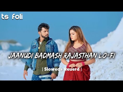 Jaanudi Badmash Rajasthani ( Slowed Reuerd TS Music Lover 🎶 ) Viral  2024