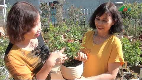 27 01 20 lamhamung3tet 44p59