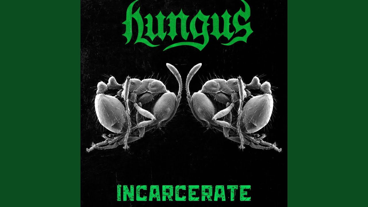 Incarcerate