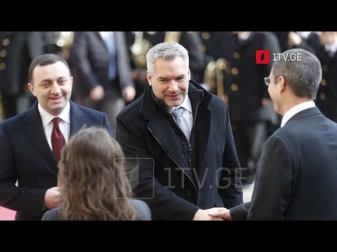 ავსტრიის კანცლერის გზავნილები - გამოხმაურება