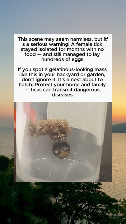 It looks harmless, but it is extremely dangerous #danger #dangerous  #incredible #virals