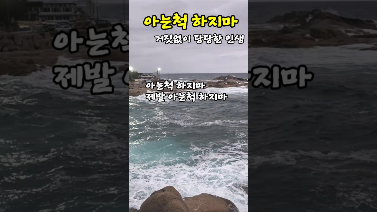 거짓없는 당당한 인생 #동명항구 #중년의삶 #틱톡킴교장