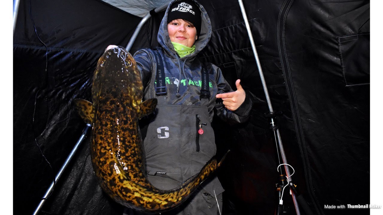 Burbot Fishing Adventures *Minnesota* 