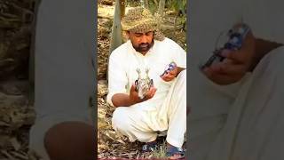 jadui cheel ka chamatkaar🦅❌😱Wood working withart handcraft idea/home madereal telent/skill-art