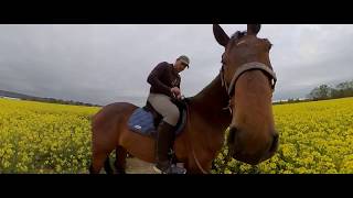 Insta360 One R - Bullet Time Test On Galloping Horse - Invisible Selfie Stick