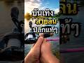 สายบันเทิงสิน #fishing #ตกปลา