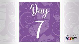 GeoFossils Advent Calendar Reveal 2021 - Day 7