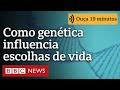 Como genética influencia nossas escolhas de vida