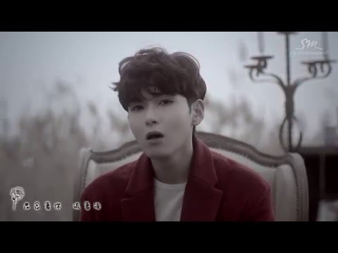 [韓語中字] SUPER JUNIOR RYEOWOOK | 어린왕자_The Little Prince_小王子 [繁中歌詞]
