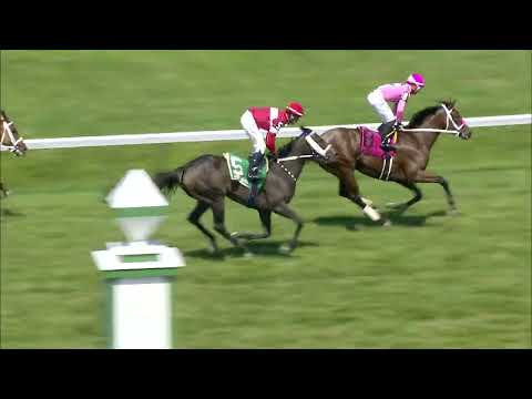 video thumbnail for MONMOUTH PARK 08-27-23 RACE 4