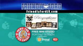 FriendlyFord_PawsCause_Petographique.mov