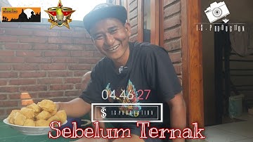 Nostalgia Sebelum Ternak Pleci || Awal Mula Mas Mbalet Pamungkas || Joosterops PCMI Magelang||Part 1