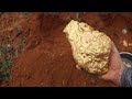 Australian gold prospectors use mining tools to unearth large gold nuggets worth millions