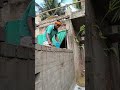 👍👍#ytshorts #shortsfeed #shorts #odiashorts #odia #odiasong #trending #viral