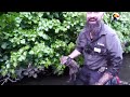 Rescuers Pull Baby Fox From River Just Before He Freezes | The Dodo