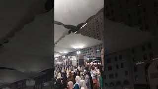 #mashallah #subhanallah #inshallah #alhamdulillah #madinamunawra #madinah #masjidnabawi