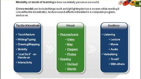 Christa McAuliffe Academy Learning Styles Overview