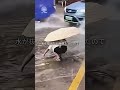 詰まった下水管を直してくれた感動的な少女