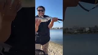 New fishing baits #fishingreel #fishingreel #fishingfamily #fishinglife #catfishing #fishingbait