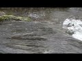 Troubled Water by Daniel Bark - Piano & Marvin Dillmann - Didgeridoo