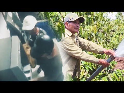 Video Chuyển động thị trường | Đánh cắp dữ liệu trên thẻ... - youtube