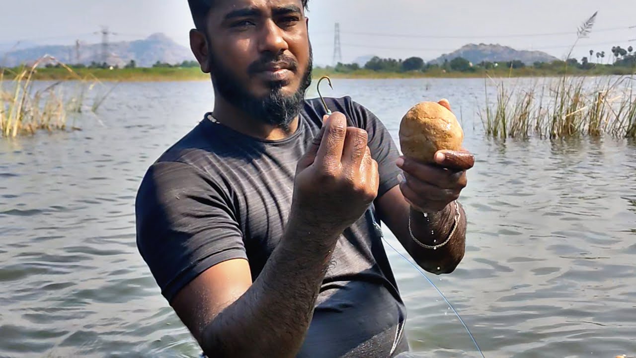 Single Hook Fishing | Incredible Big Rohu Fishing | Big Size Rohu Fish Hooked | Amzing Big Rohu Fish