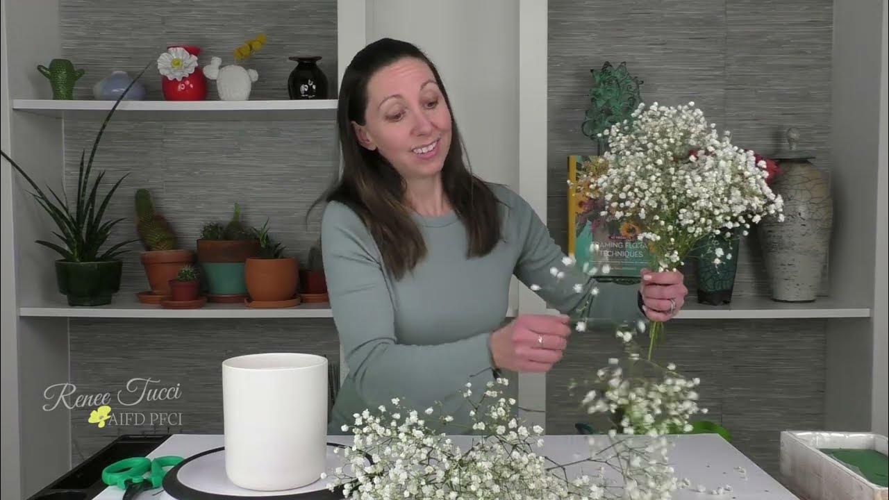 How to Grow Baby's Breath and Use it in Arrangements