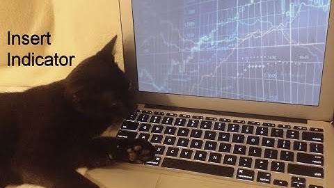 How to Insert Indicator or Strategy - TradeStation