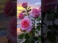 ٥ أغسطس ٢٠٢٥